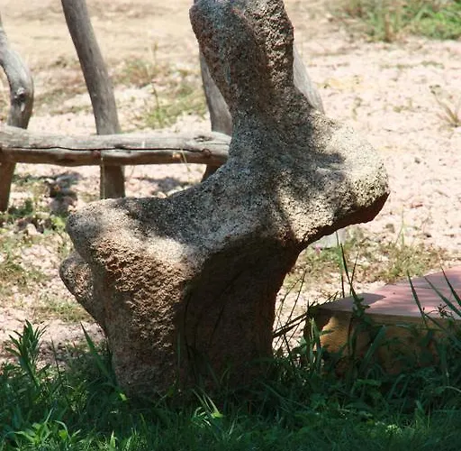 Apartment Salusai Trinita d'Agultu e Vignola