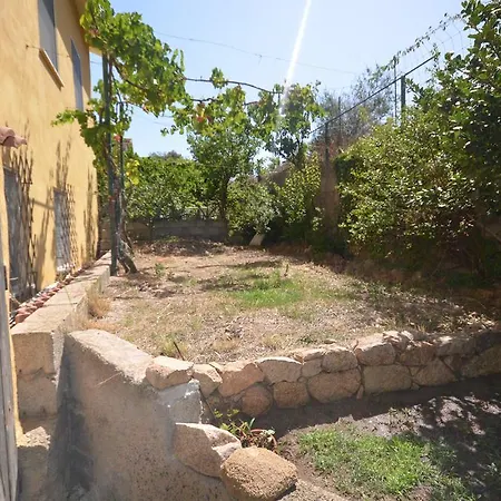 Salusai Trinità dʼAgultu